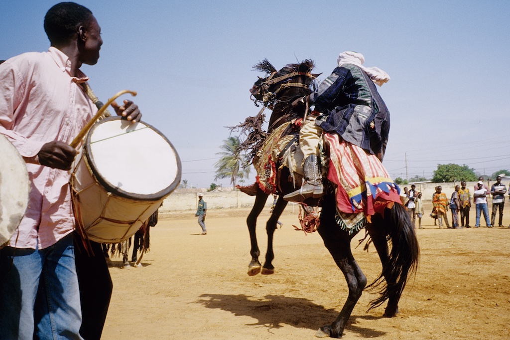 Les cavaliers font danser leurs chevaux aux rythme des tambours. Le cheval descend d'une courbette.